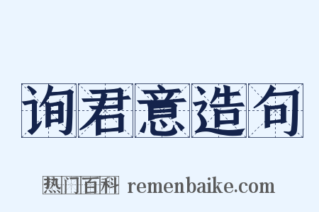 询君意造句是什么意思的图片